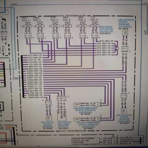 1714636438373.webp
